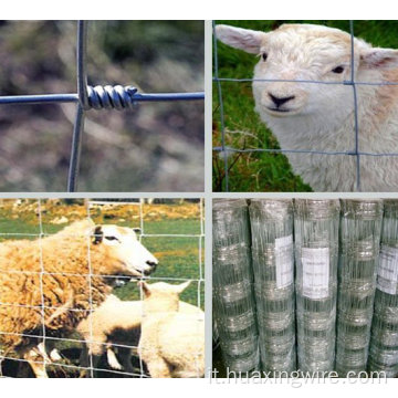 Recinzione da campo di alta qualità / recinzione del bestiame